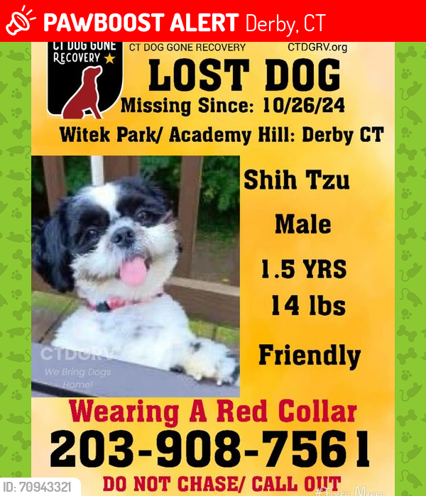 Lost Male Dog last seen Sentinel Hill Rd. Derby, CT, Derby, CT 06418