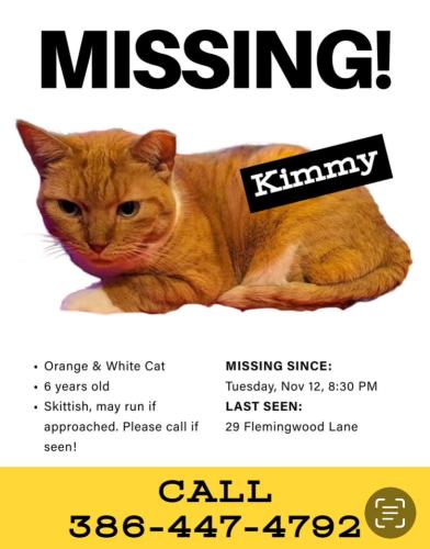 Madera County Lost And Found Animal Shelter Near Me Madera County