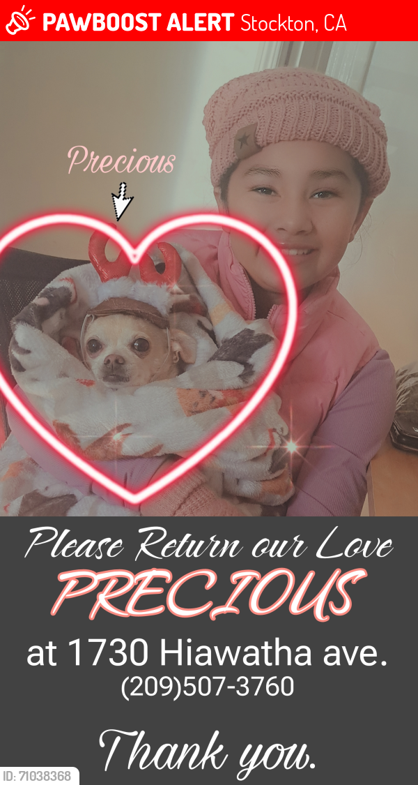 Lost Female Dog last seen East Harding way/ Hiawatha ave./ Bradford, Stockton, CA 95205