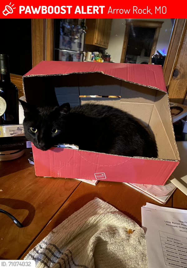 Lost Female Cat last seen Near 4th St, Arrow Rock, MO 65340
