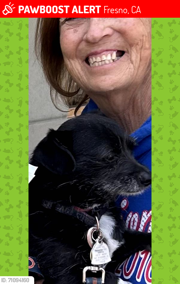 Lost Female Dog last seen West Sierra ar McCardle Elementary in Fresno, CA, Fresno, CA 93711