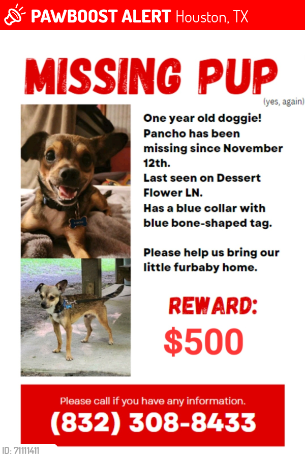 Lost Male Dog last seen Smiling Wood Ln, Houston, TX 77086