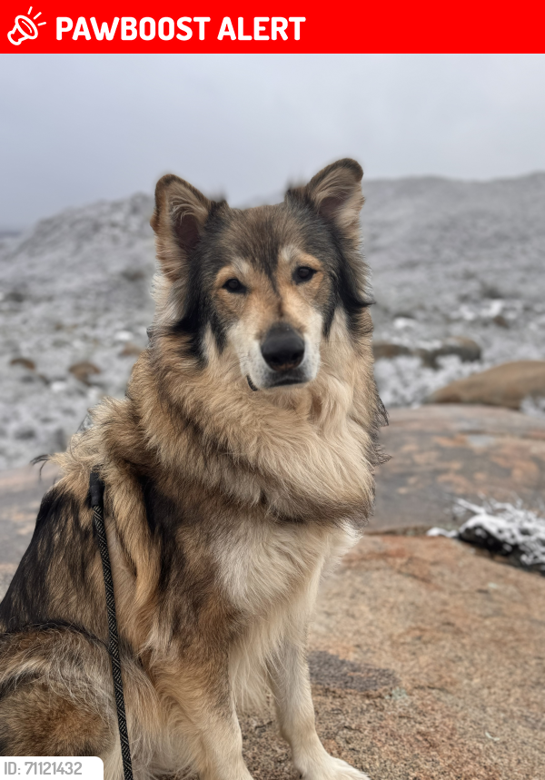 Deceased Male Dog last seen Near Chihuahua valley Rd, Warner Springs CA , San Diego County, CA 92086