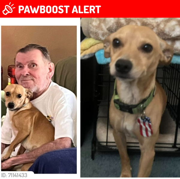 Lost Male Dog last seen Archibald & Foothill near McDonald's RANCHO CUCMAONGA CA, Rancho Cucamonga, CA 91730
