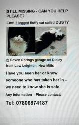 Lost Female Cat last seen Possible chantry Road Disley , Disley, England 