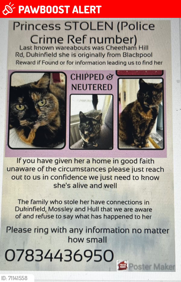 Lost Female Cat last seen Unsure could also be Mossley - general Tameside , Greater Manchester, England 