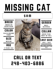 Lost Male Cat last seen Mariner Cape Coral, Cape Coral, FL 33993