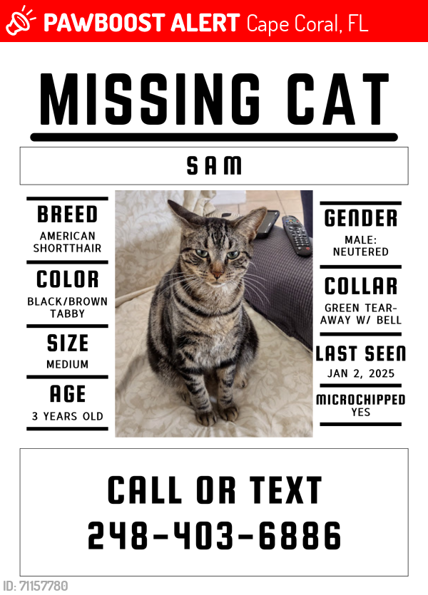 Lost Male Cat last seen Mariner Cape Coral, Cape Coral, FL 33993