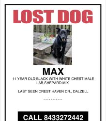 Lost Male Dog last seen Peach Orchard Road Dalzell, SC , Dalzell, SC 29040