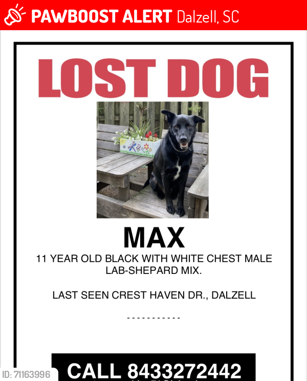 Lost Male Dog last seen Peach Orchard Road Dalzell, SC , Dalzell, SC 29040