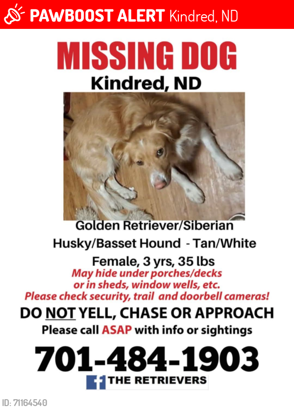 Lost Female Dog last seen 157th Ave SE & 53rd St SE, Kindred, ND 58051