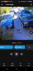 Reunited Male Cat last seen Near willimet way hayward, Hayward, CA 94544