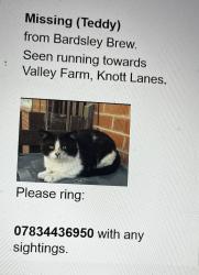 Lost Male Cat last seen As poster , Greater Manchester, England OL6