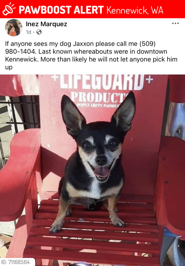 Lost Male Dog last seen Yelm, Kennewick, WA 99336