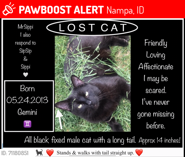 Lost Male Cat last seen Locust, Nampa, ID 83687