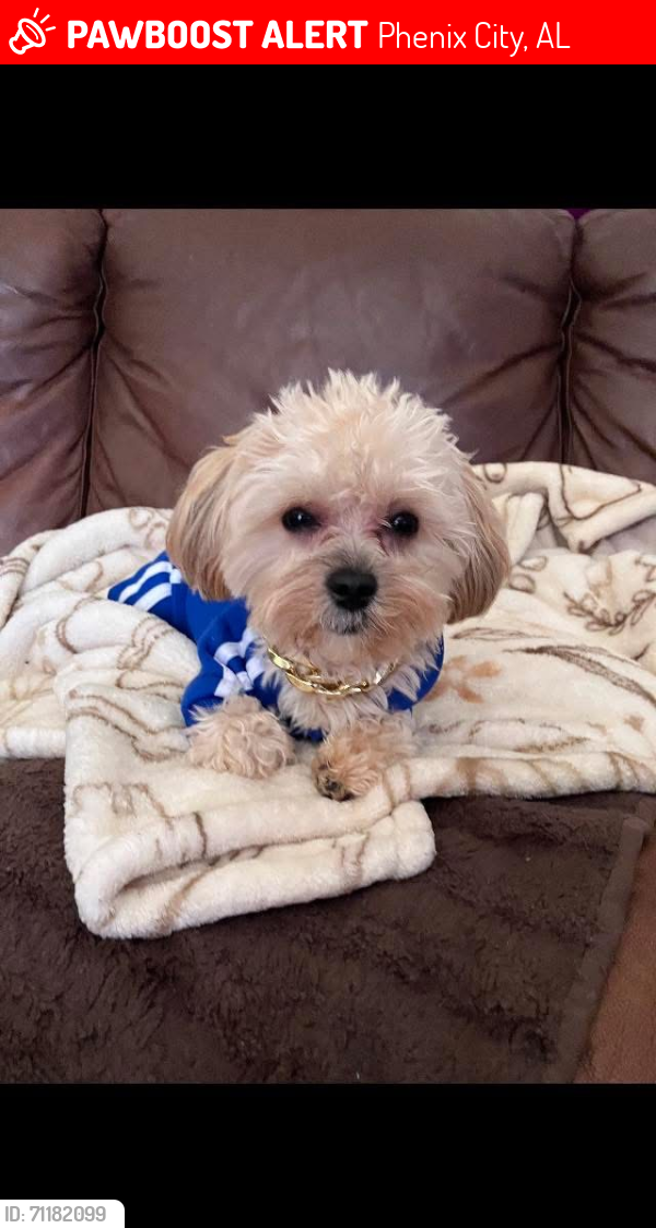 Lost Male Dog last seen Near 12th Ave phenix city Ala Whispering Pines Apartments behind KFC and Broad St and 12th st, Phenix City, AL 36867
