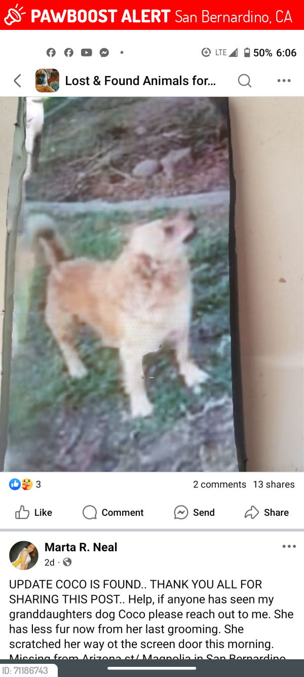 Lost Male Dog last seen Sterling avenue, San Bernardino, CA 92404