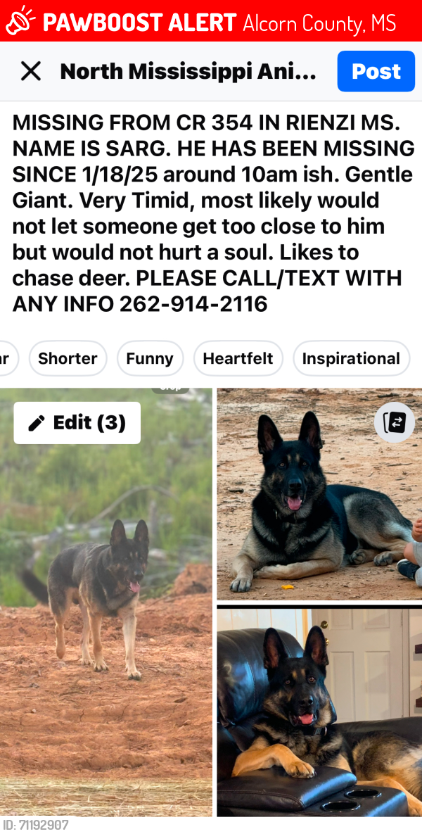 Lost Male Dog last seen CR 354 Rienzi MS, Alcorn County, MS 38865