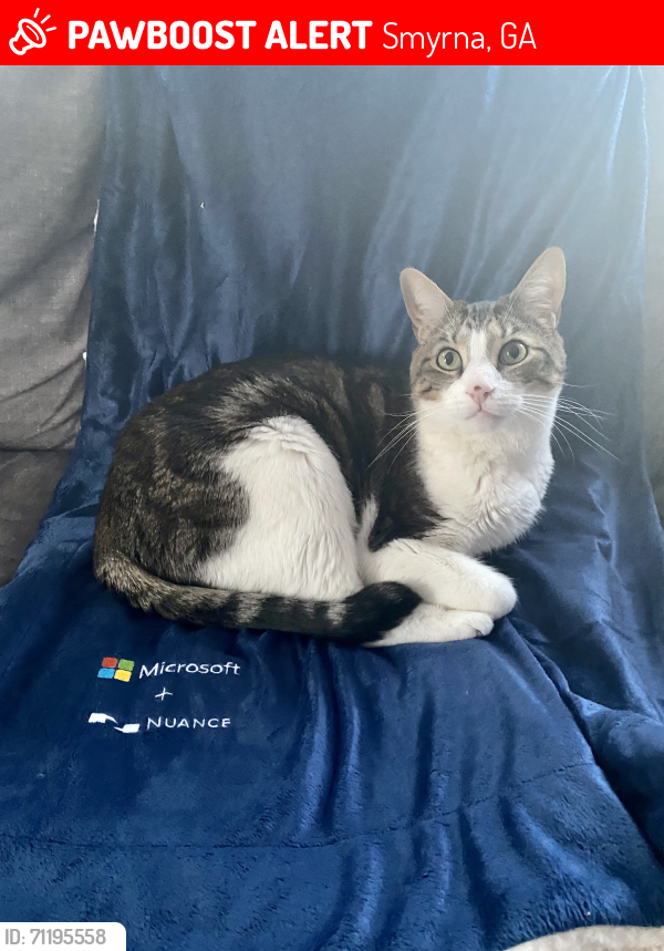 Lost Male Cat last seen Evenstad Way & Ferrington Way Smyrna GA, Smyrna, GA 30080