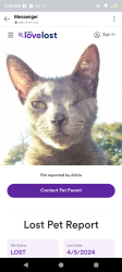 Lost Male Cat last seen Old shut down Grocery Store named Colligans on Prairie Rhonde Hwy., Opelousas, LA 70570