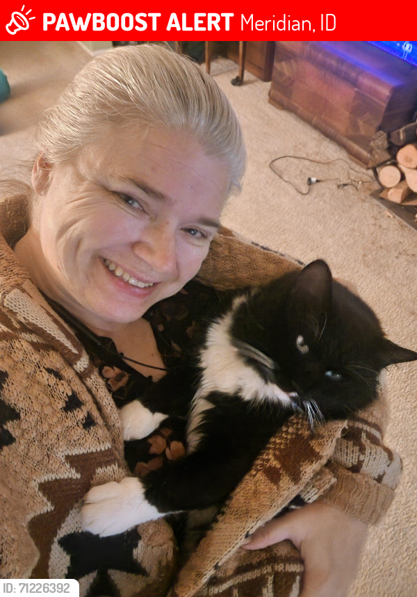 Lost Male Cat last seen Kostalota Ln and McDermott Rd , Meridian, ID 83646