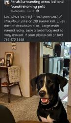 Lost Male Dog last seen Strawtown Pike & 500 S , Peru, IN 46970