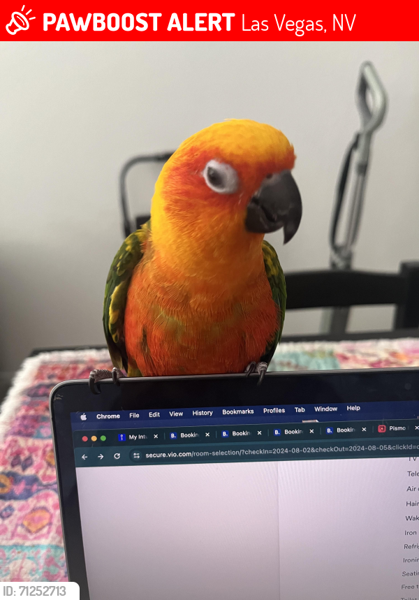 Lost Male Bird last seen Smoke Ranch rd /torrey pines , Las Vegas, NV 89108