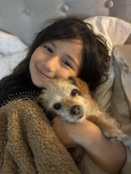 Lost Female Dog last seen Dalton , Azusa, CA 91702