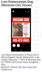 Lost Male Dog last seen Darrington/ Eastlake /Alderwoodmaner, Horizon City, TX 79928