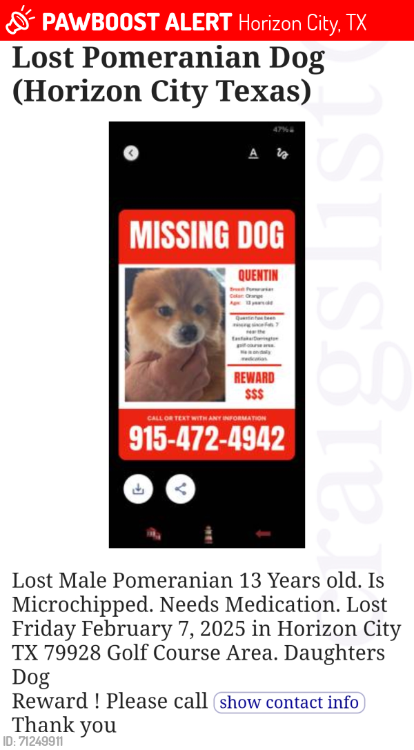 Lost Male Dog last seen Darrington/ Eastlake /Alderwoodmaner, Horizon City, TX 79928