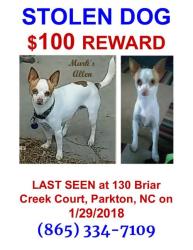 Lost Male Dog last seen Briar Creek Ct, Everitt Dr, Dollar General & Short Stop at Davis Bridge Rd, Hoke County, NC 28357