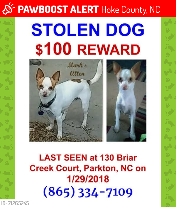 Lost Male Dog last seen Briar Creek Ct, Everitt Dr, Dollar General & Short Stop at Davis Bridge Rd, Hoke County, NC 28357