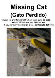 Lost Female Cat last seen SW 160th St & SW 95th Ave. 33157, Palmetto Estates, FL 33157