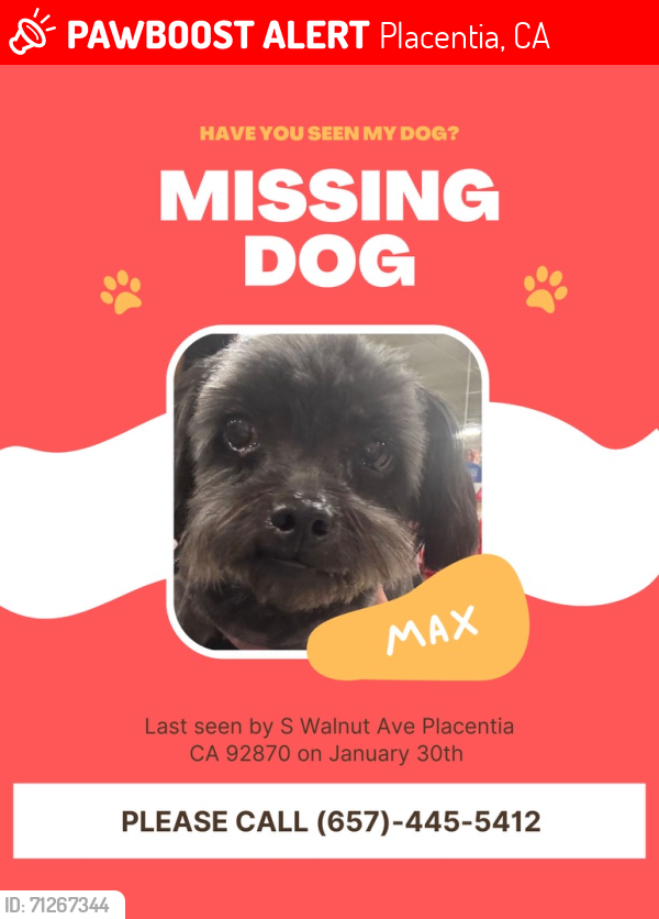 Lost Male Dog last seen W Chapman Ave , Placentia, CA 92870