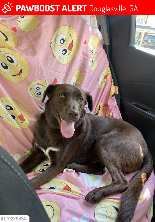 Lost Male Dog last seen Near daycare at Pet Set Stay and Play, Douglasville, GA 30134