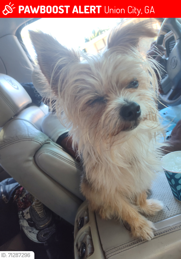Lost Male Dog last seen Shannon parkway,Shannon woods apts, Union City, GA 30291