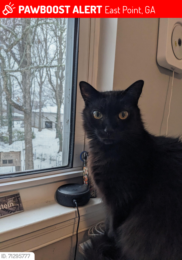 Lost Male Cat last seen Neely Avenue and Kimmeridge Drive, East Point, GA 30344