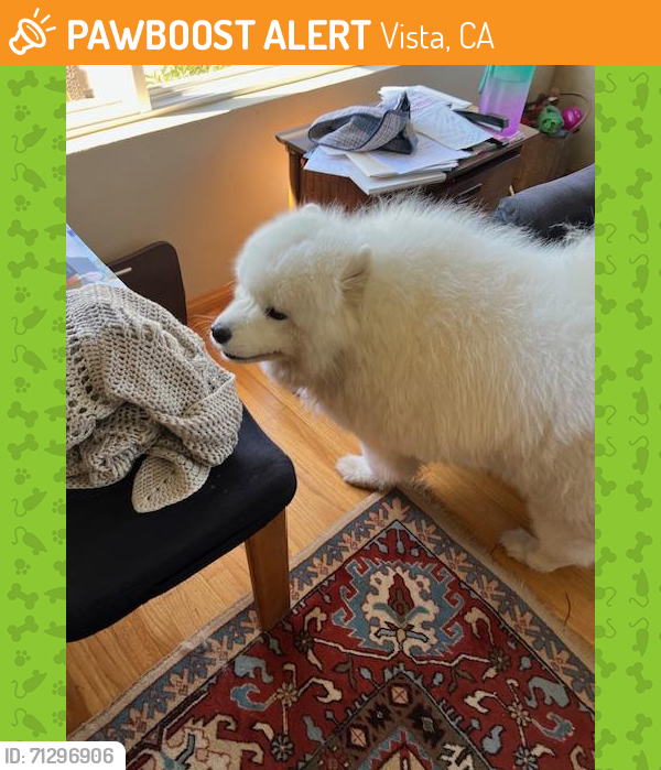 Found/Stray Male Dog last seen Beaumont Dr/Parker st, Vista, CA 92084