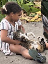 Lost Male Cat last seen Near ne 30th street Ocala fl 34479, Ocala, FL 34479