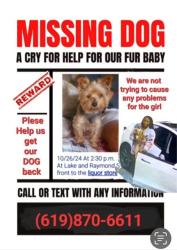 Lost Male Dog last seen corner of Lake and Raymond, Glendale, CA, Glendale, CA 91201