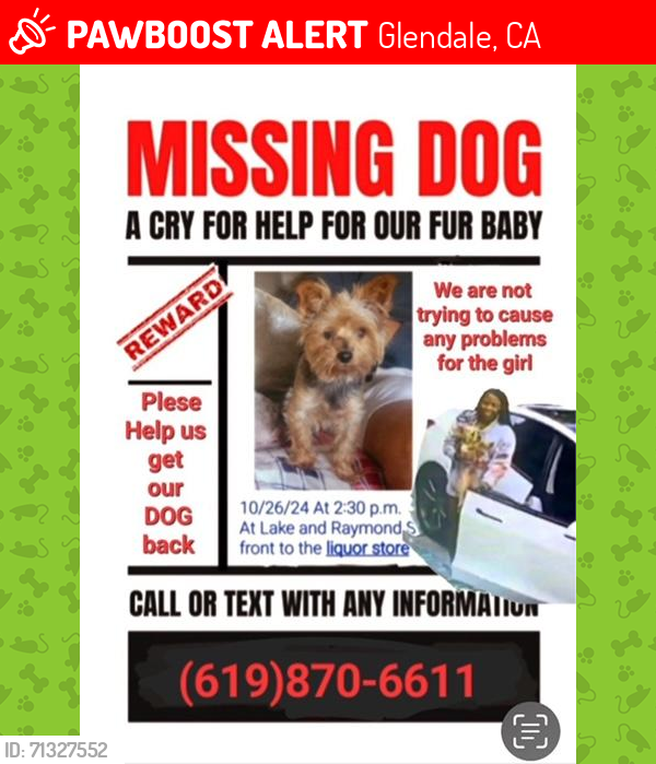 Lost Male Dog last seen corner of Lake and Raymond, Glendale, CA, Glendale, CA 91201