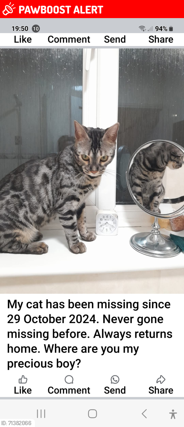 Lost Male Cat last seen Church Green Park. Commissioners Rd, Banks Rd, Station Rd, Frindsbury Rd, ME2 area, KENT , Medway, England ME2