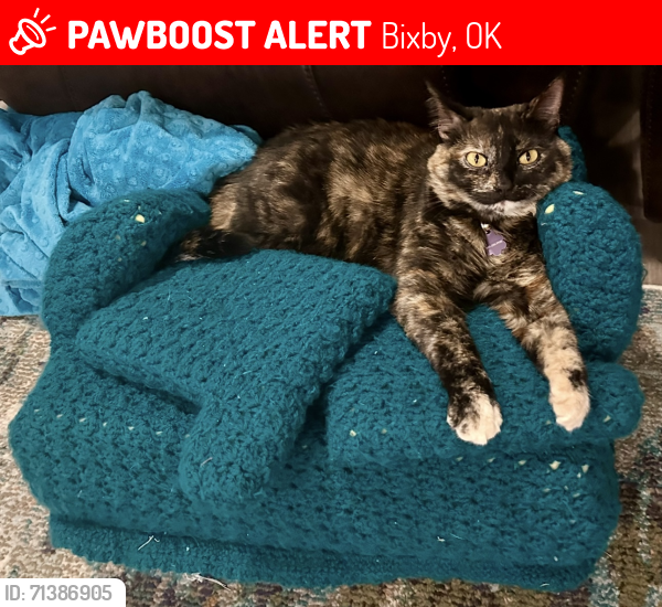 Lost Female Cat last seen ests at Conrad Village; S Sheridan & E 151St S, Bixby, OK 74008