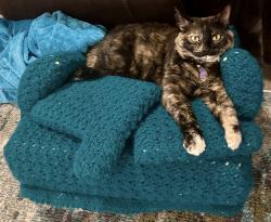 Lost Female Cat last seen ests at Conrad Village; S Sheridan & E 151St S, Bixby, OK 74008