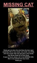 Lost Female Cat last seen Brown Rd. Bonair, Richmond, VA 23235