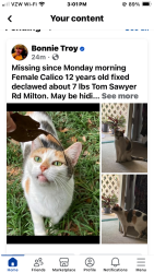 Lost Female Cat last seen Huckleberry Finn Rd, Milton, FL 32583
