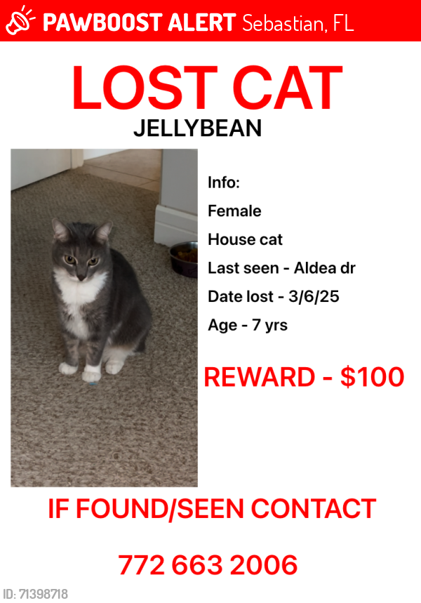 Lost Female Cat last seen Near Pelican Road Elementary, Sebastian, FL 32958