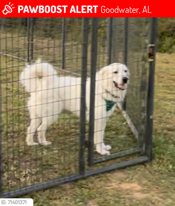 Lost Male Dog last seen Hwy 63, Goodwater, AL 35072