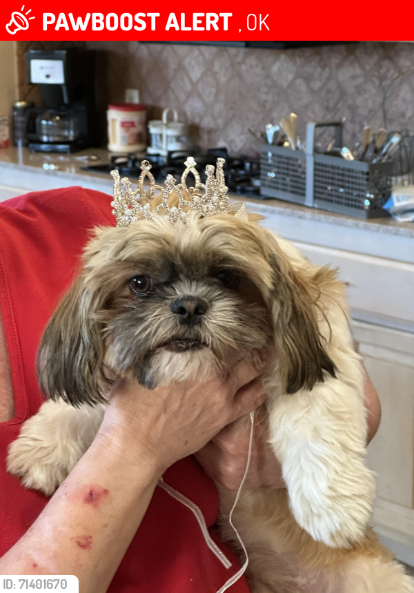 Lost Female Dog last seen Near Indian Rd, Gore, OK By Dollar General Stone Mobile Home Park, Strayhorn area, Lake Tenkiller, Gore, OK 74435