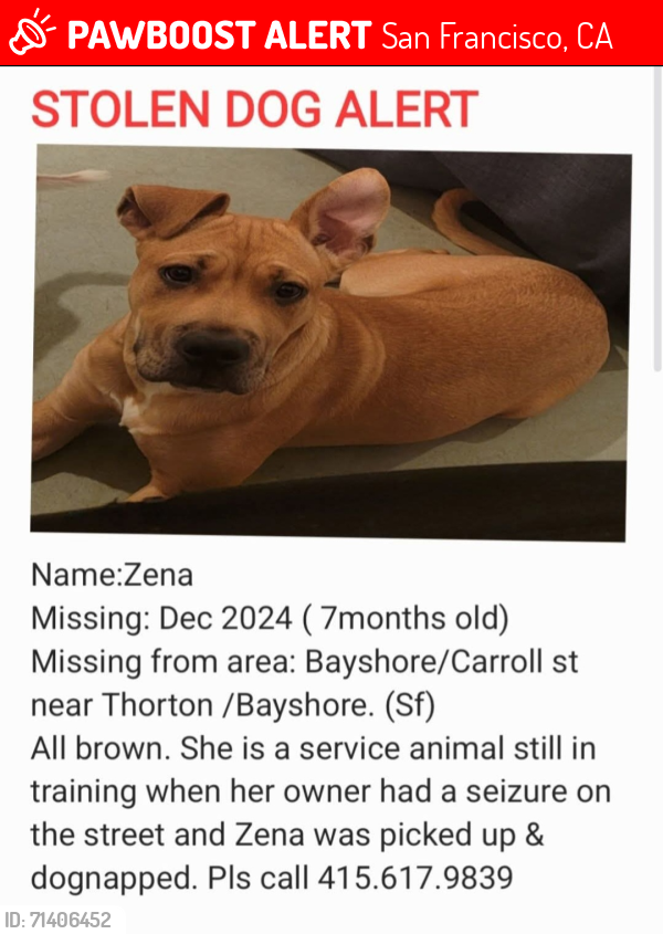 Lost Female Dog last seen Near Carrol ave near arco gas station, San Francisco, CA 94124